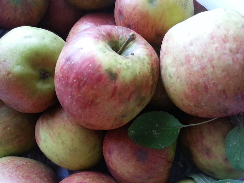 Pesticide free apples.
